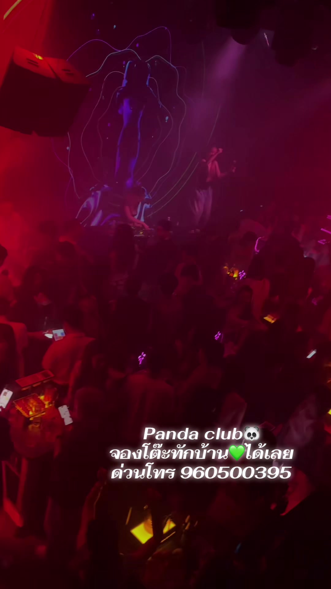 @panda club (keum)
