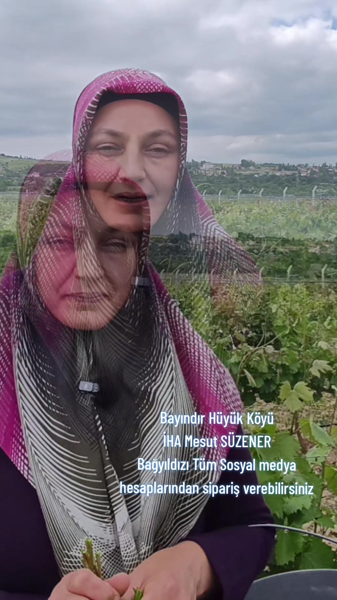 @mesut s&uuml;zener