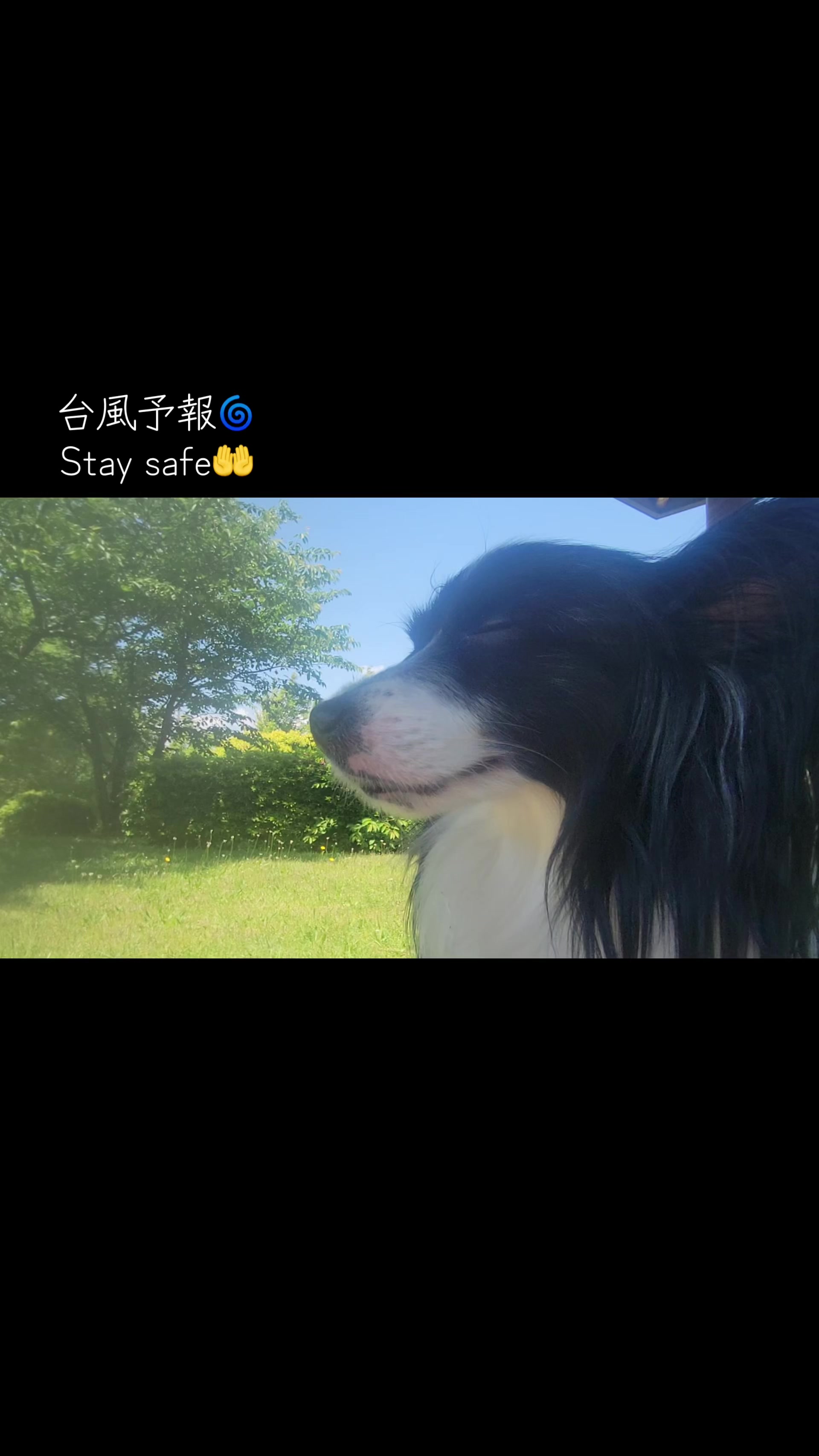 @倉木麻衣 公式アカウント