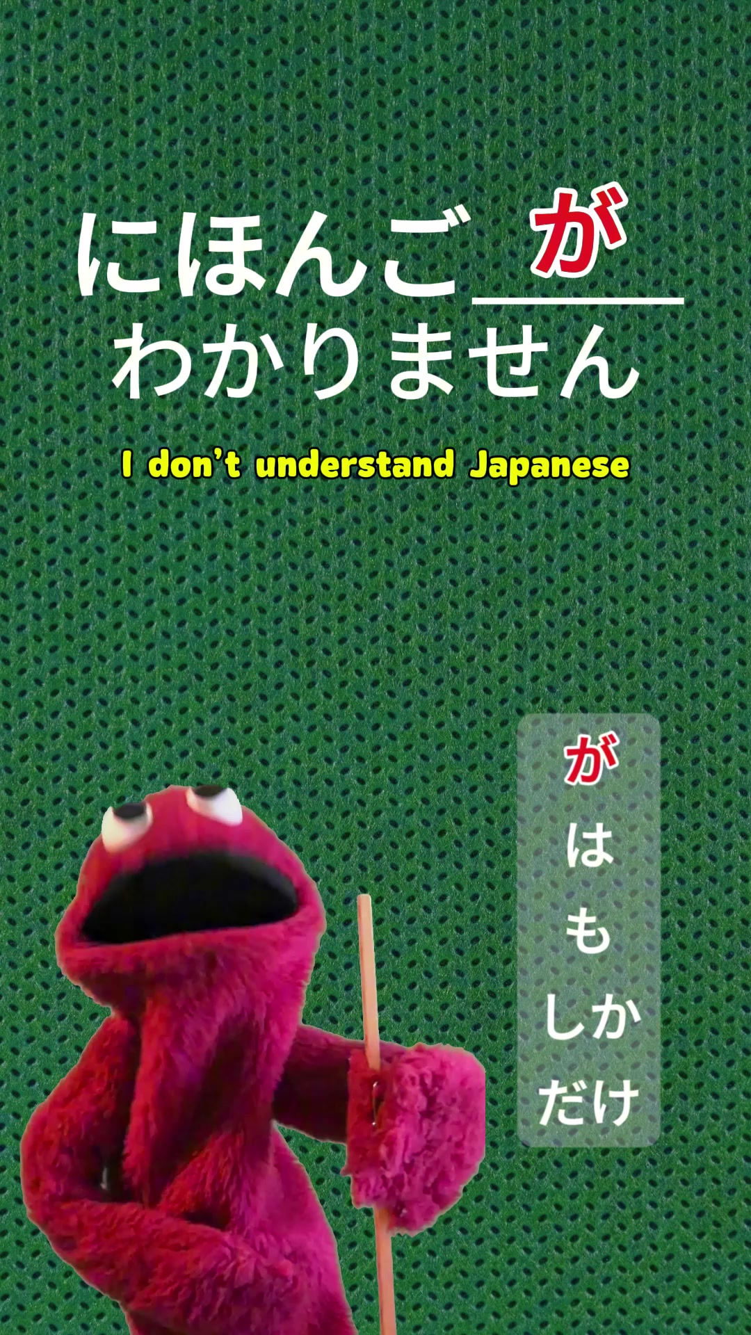 @JUJU/ ジュジュ