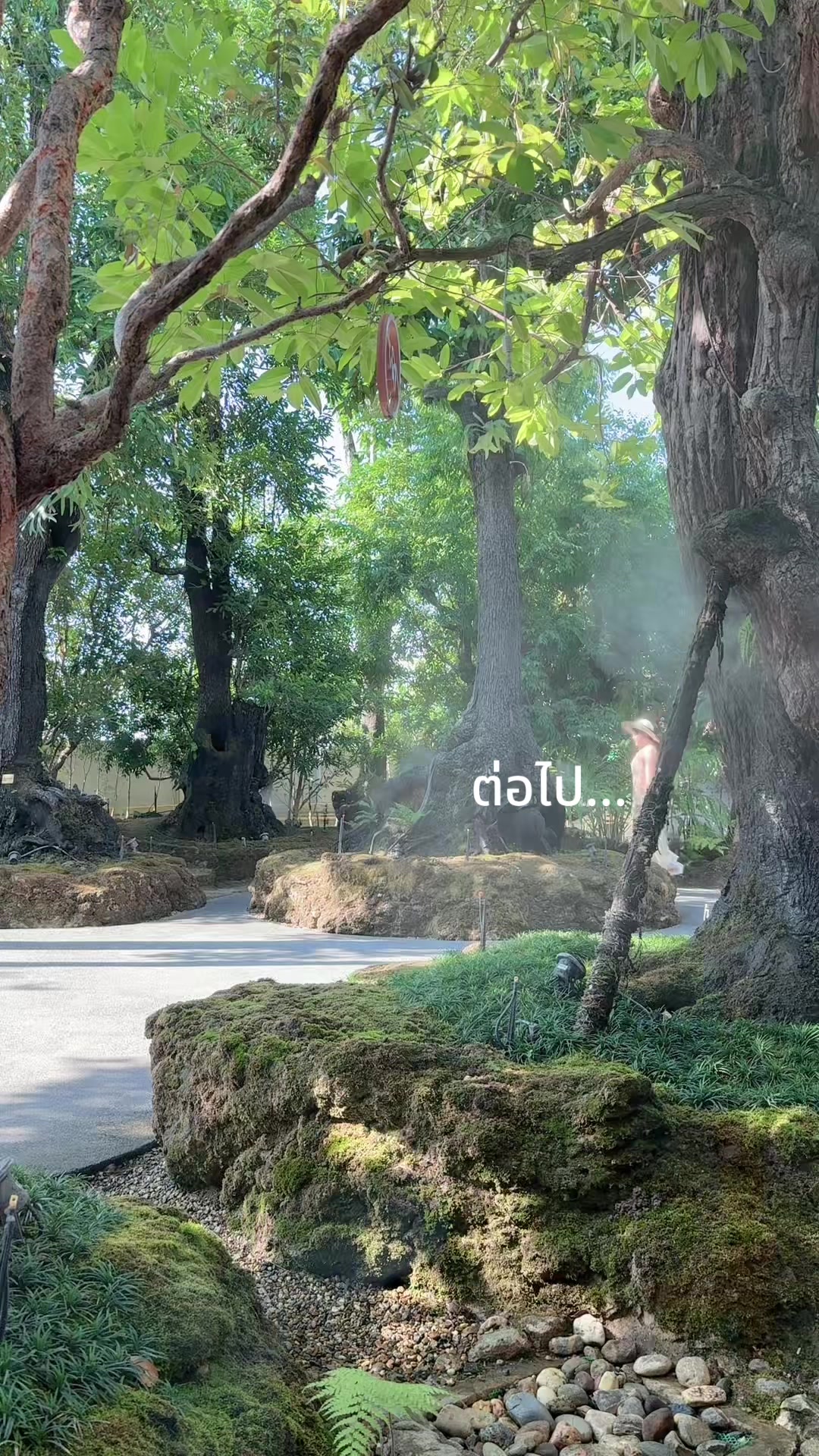 @𝐃➀➃💚🌻
