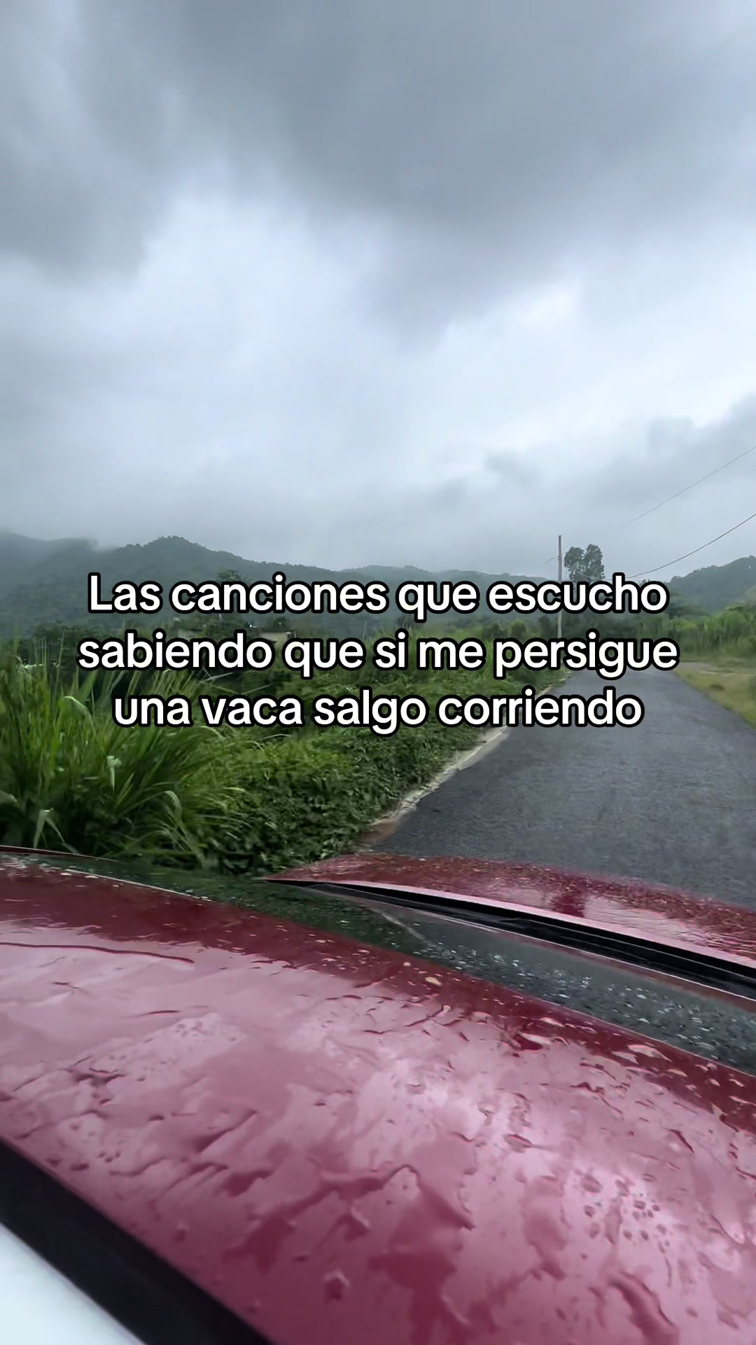 @Oswaldovillamizarm