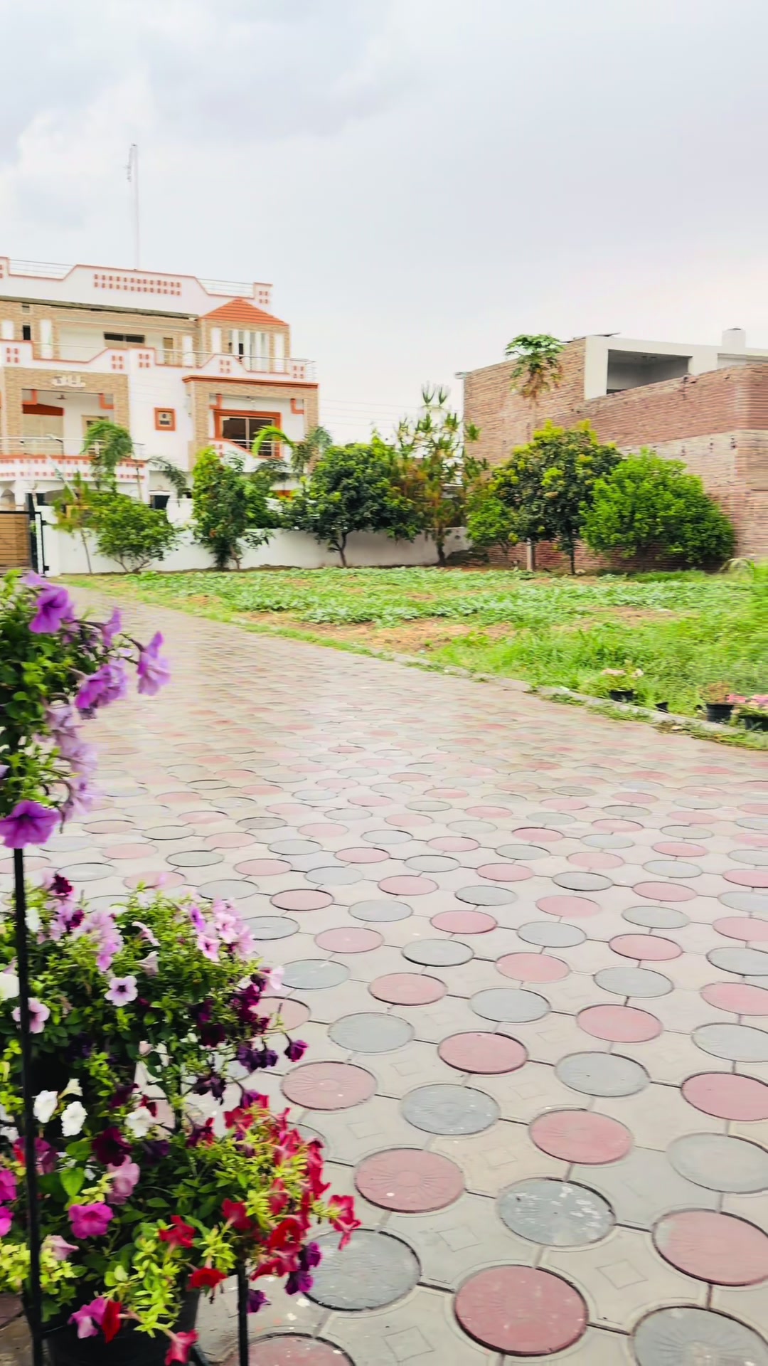 @B_M👑888🇰🇼🇵🇰