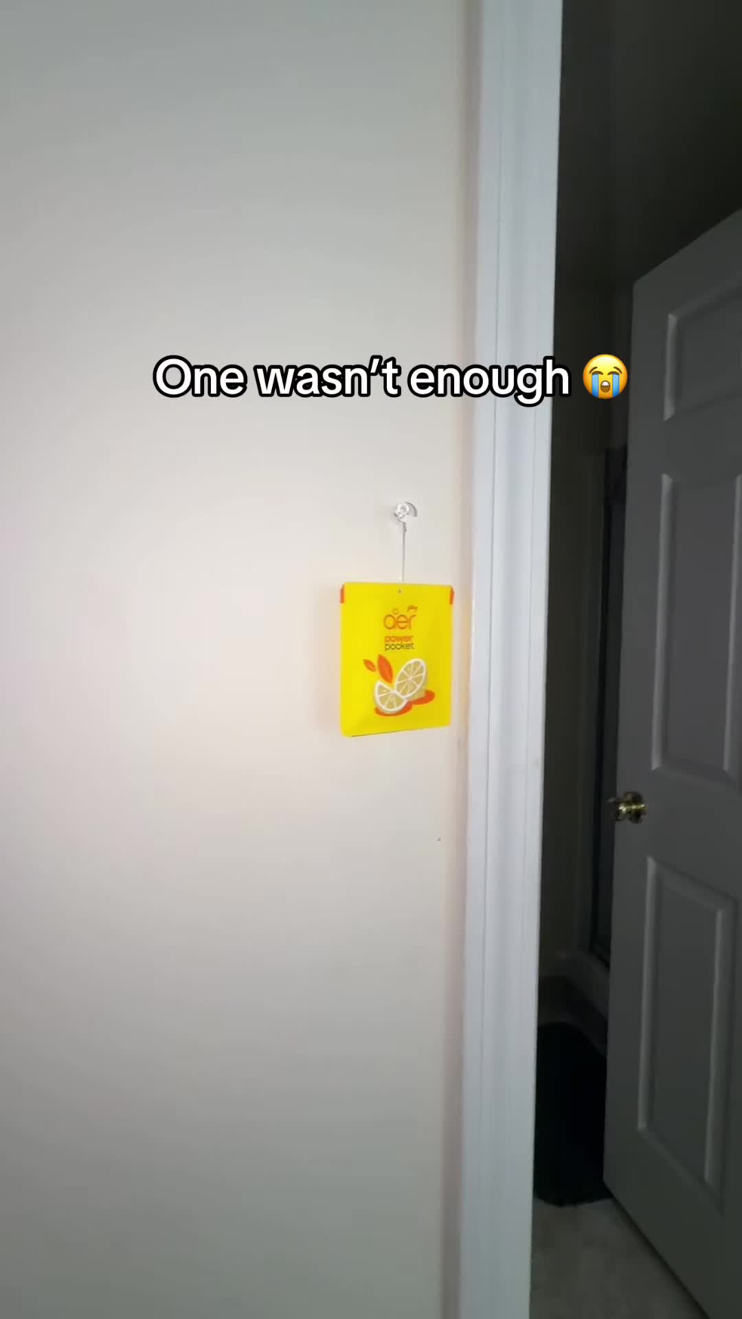 @jaylinfinds