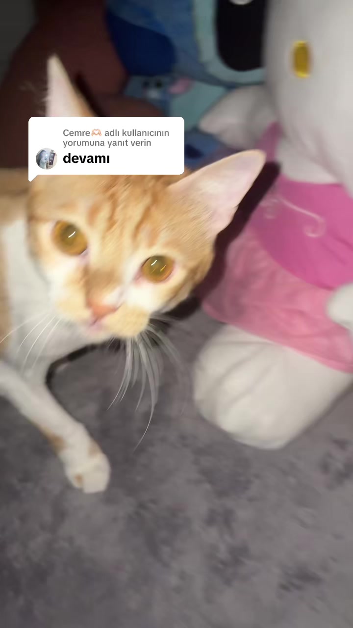 @𝐣𝐞𝐬𝐬𝐢🔮