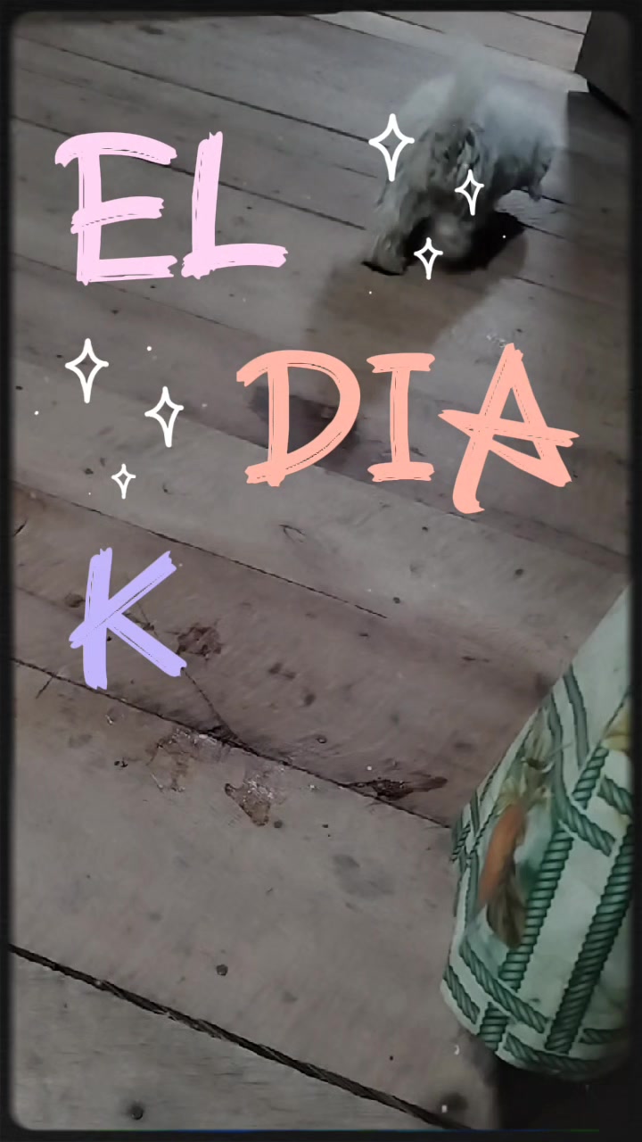 @๐น๐ข๐ถ๐๐โด๐ผๆ