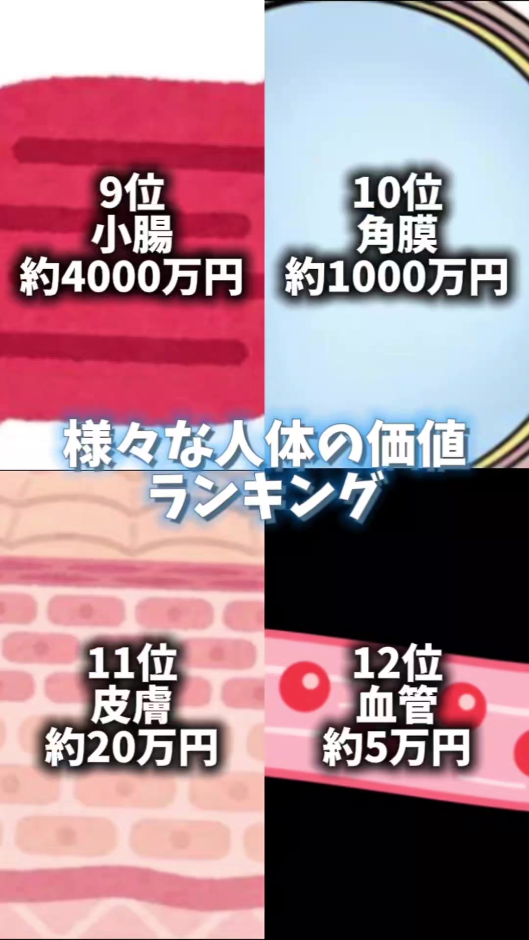 @やまかん【〇〇編集系】