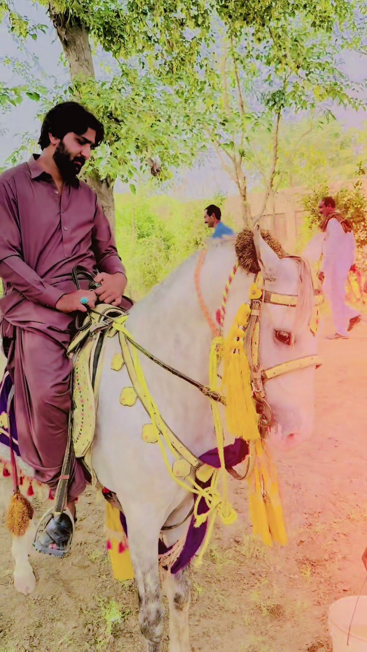 @ملک ذیشان جوتہ 💕🦅