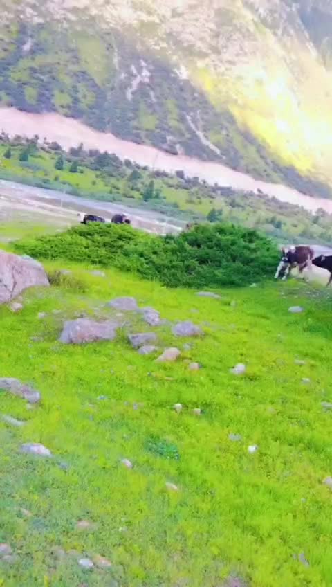 @Abdul sattar joyia Rajpoot