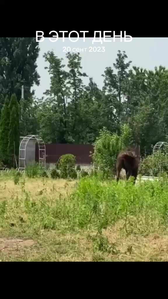 @MakvinStud