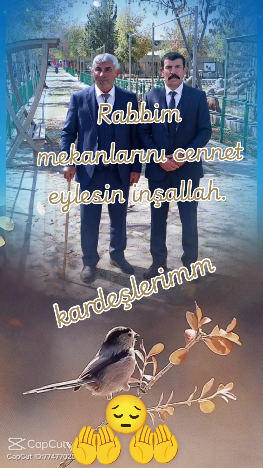 @Lila Yasemin