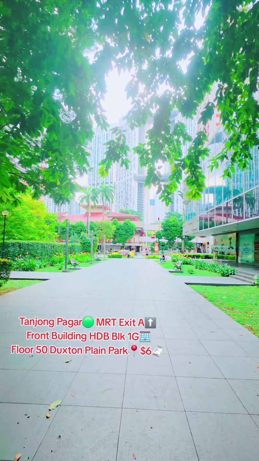 @Adel Singapore