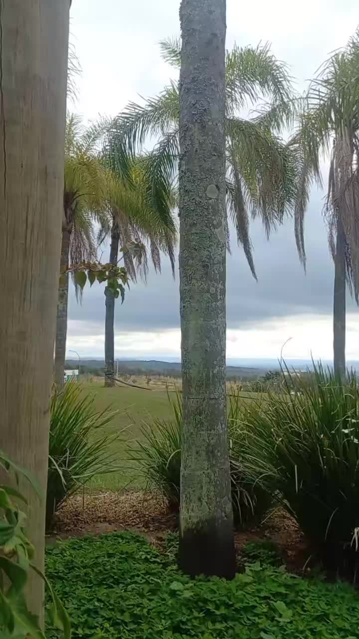 @jenijene28