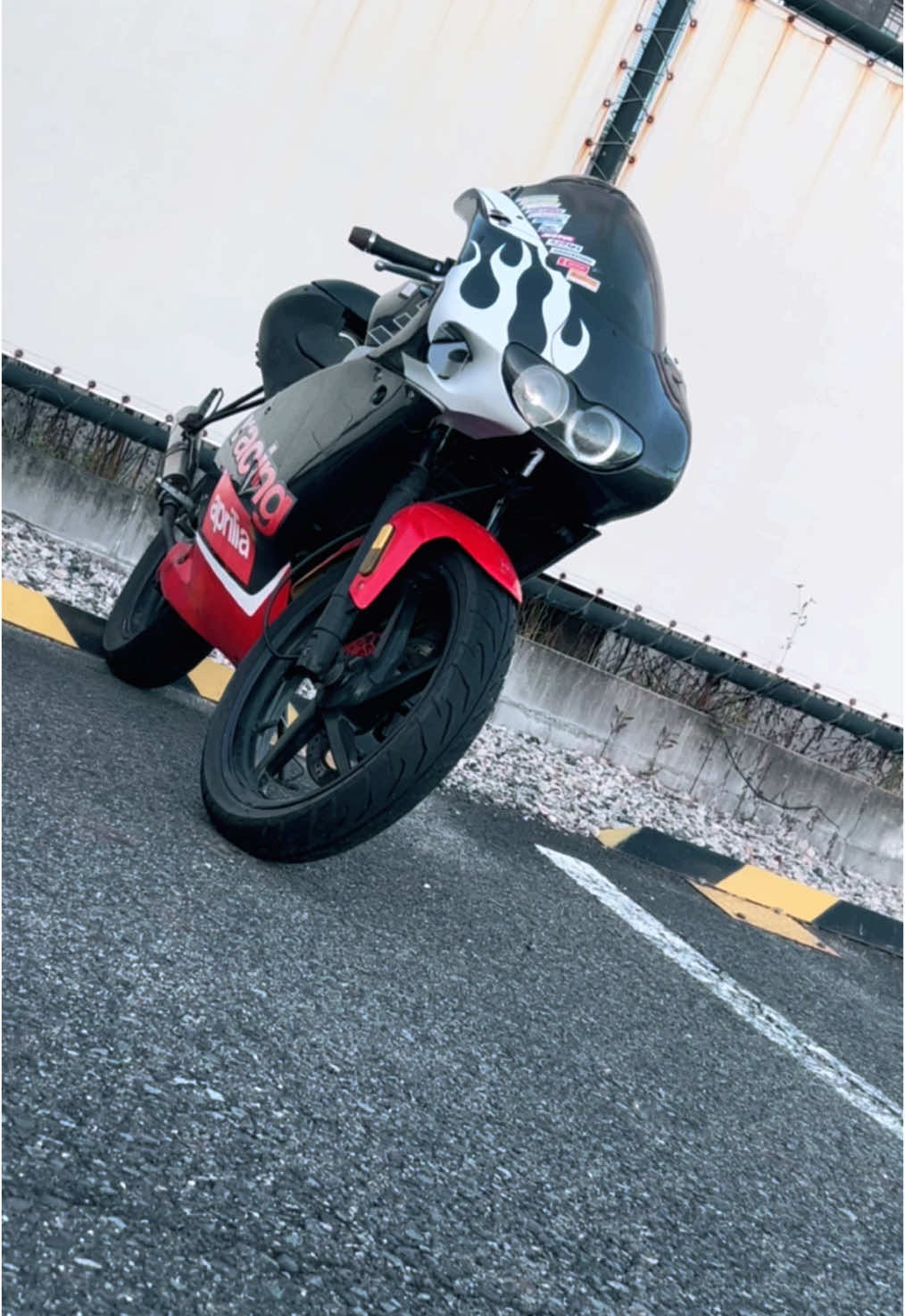 @マー坊