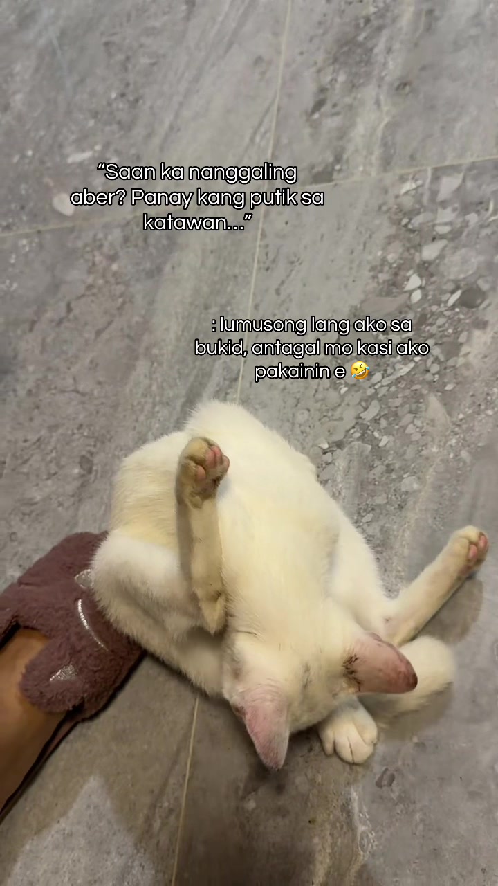 @Sgt.46♡