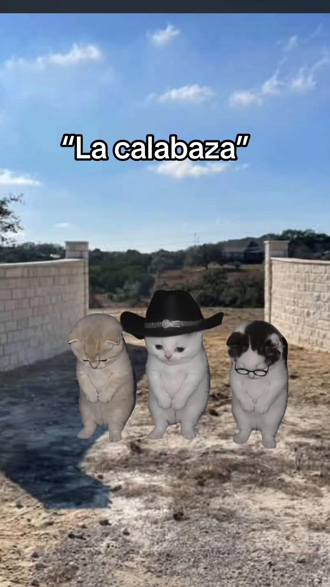 @Reyna Martinez