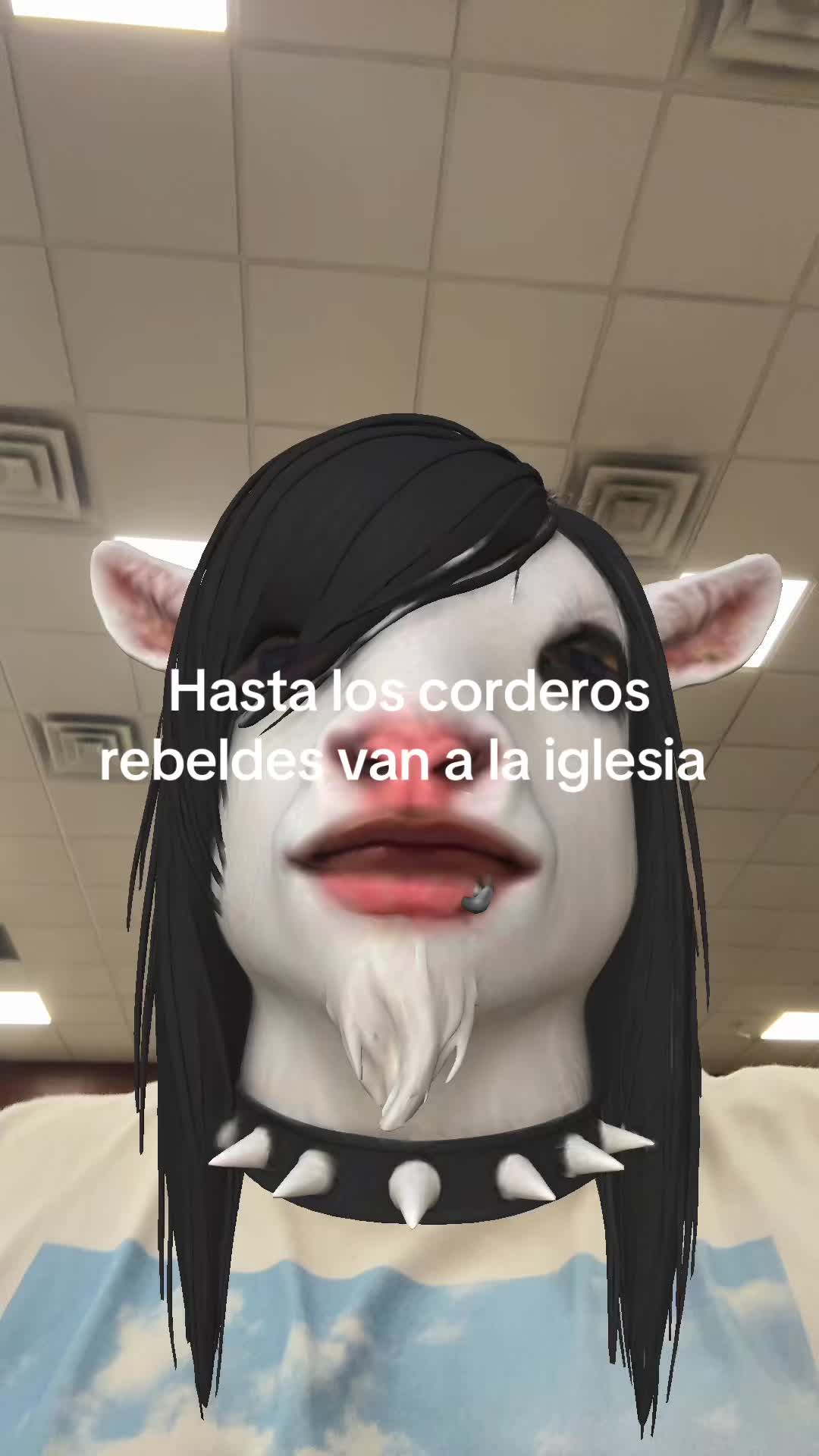 @pinchespulgas