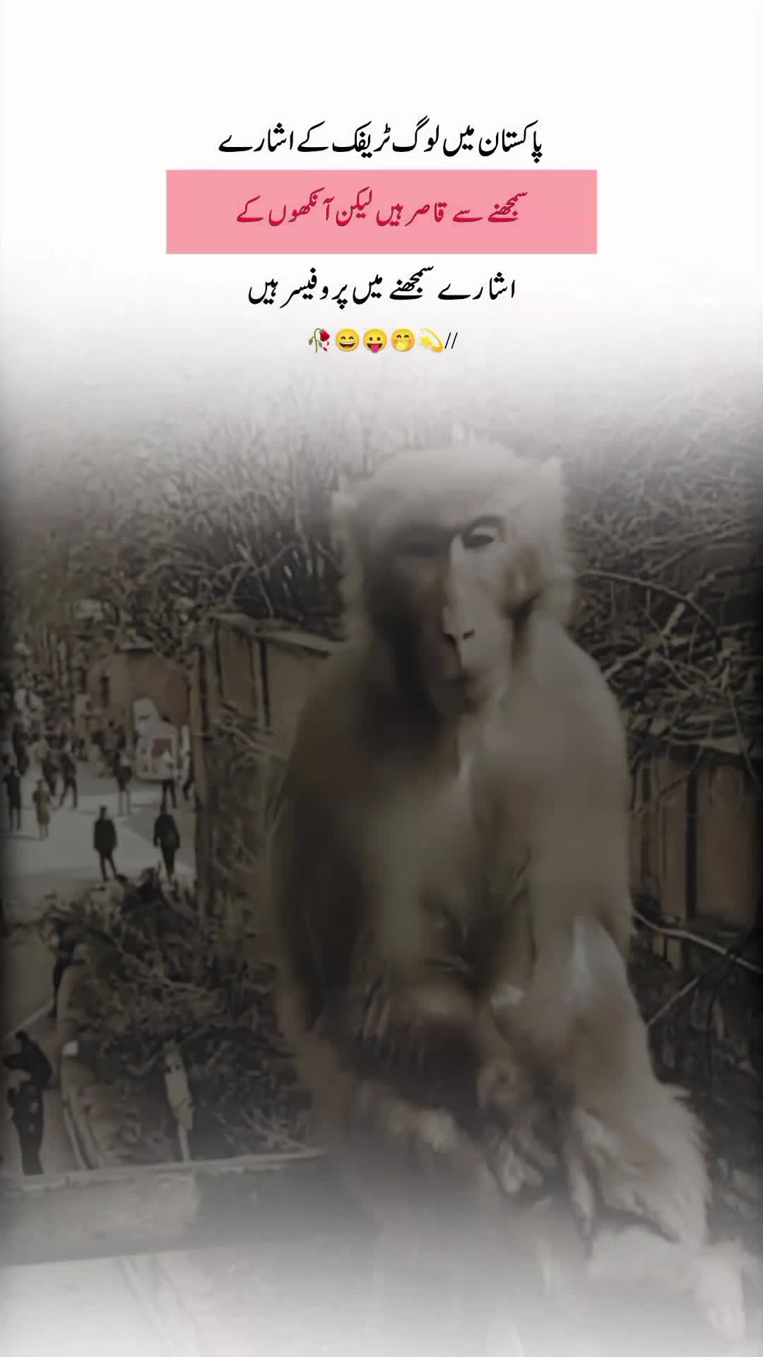 @【𝐌𝐮𝐠𝐡𝐚𝐥 𝐖𝐫𝐢𝐭𝐞𝐬】