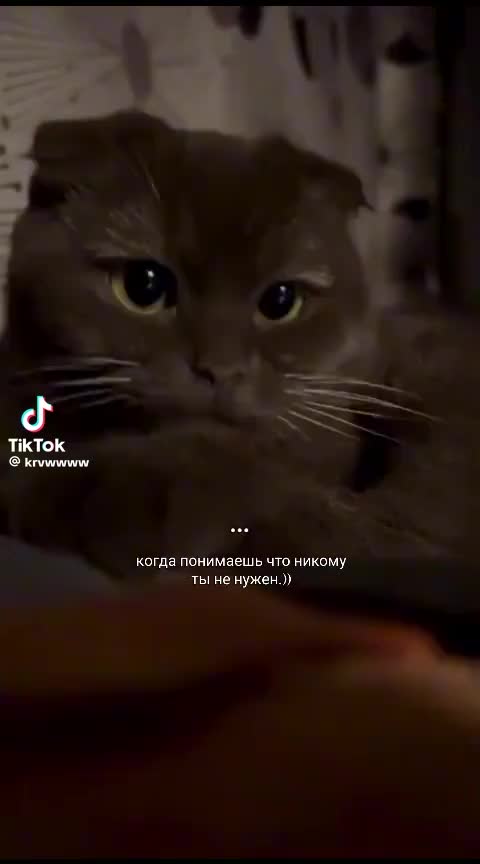 @𝑉̮̑_𝑉̮̑ł₮₳Ⱡłł_𝑉̮̑_𝟷⃫̮̑
