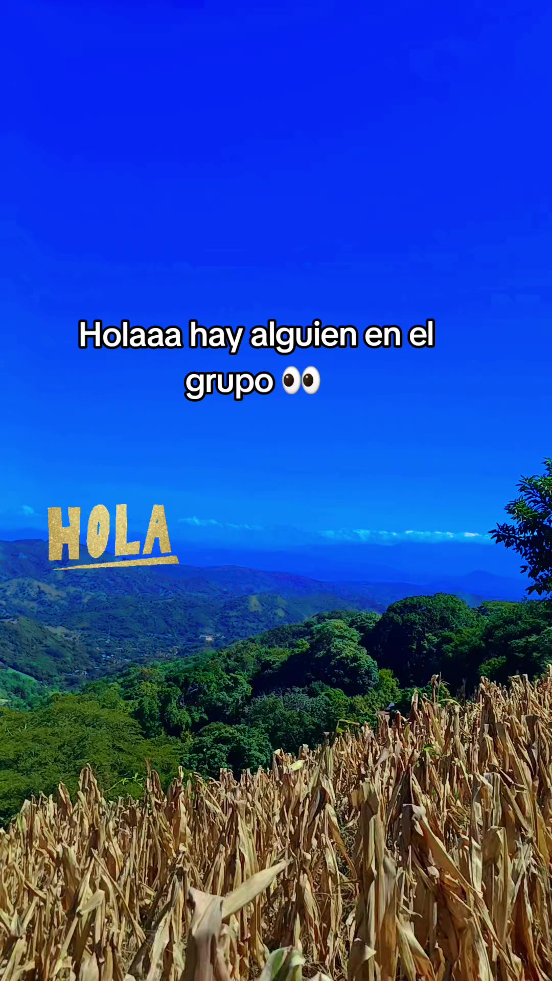 @☘️el chero31🥷☘️