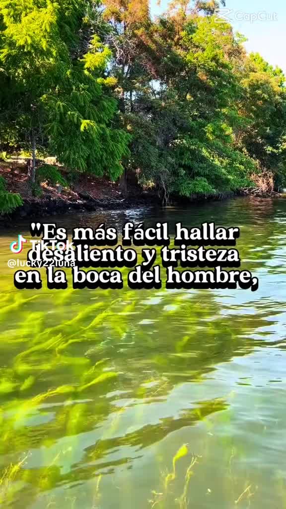 @Adilia Lima
