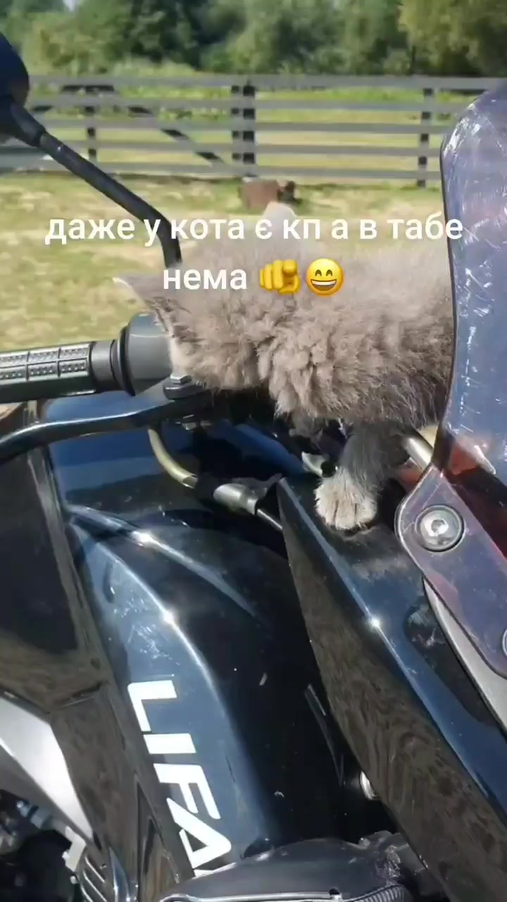 @ствол🐺