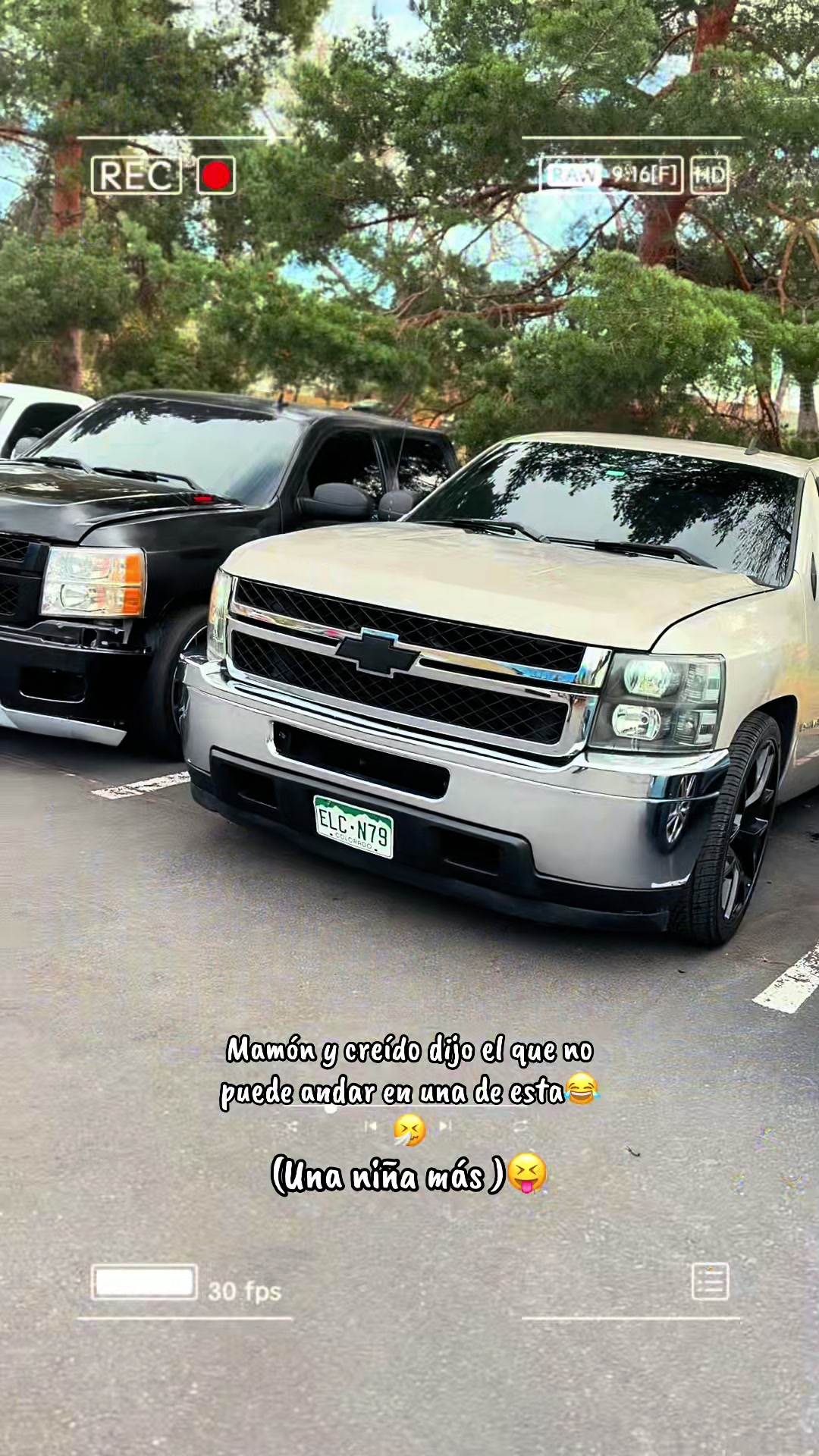 @elflako777_1