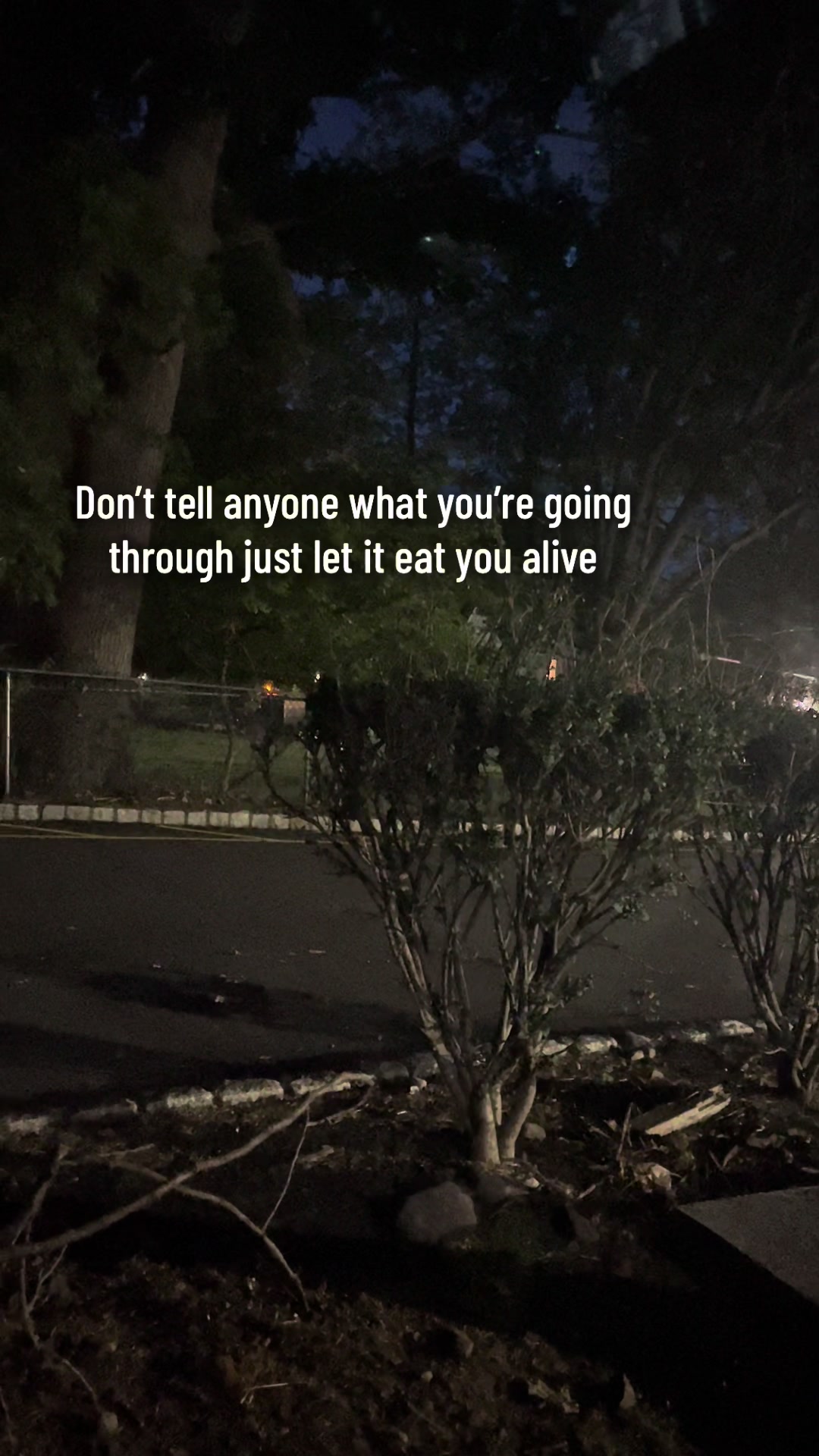@Quotes