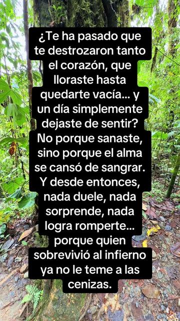 @Aida Kier