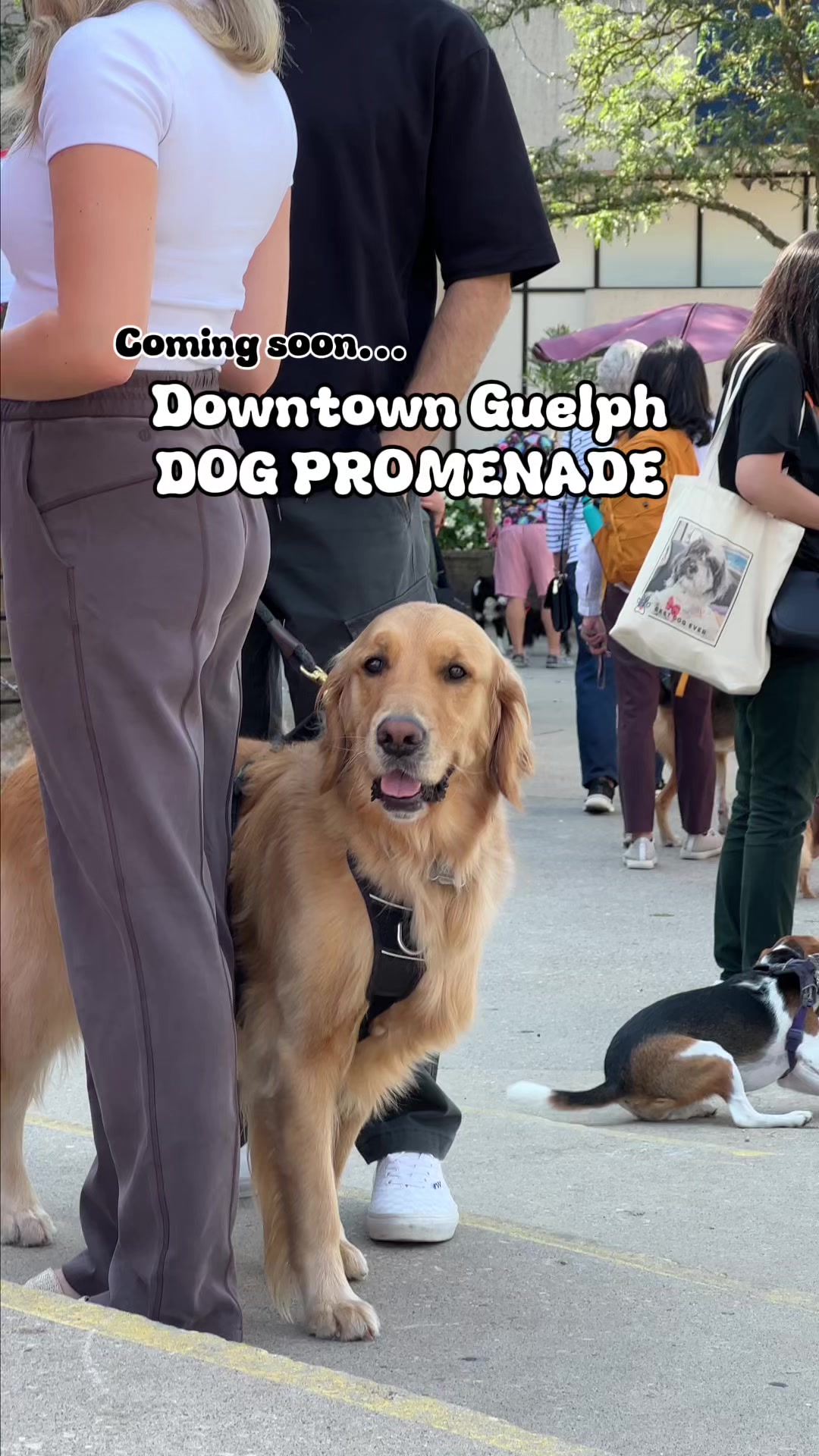 @Downtown Guelph