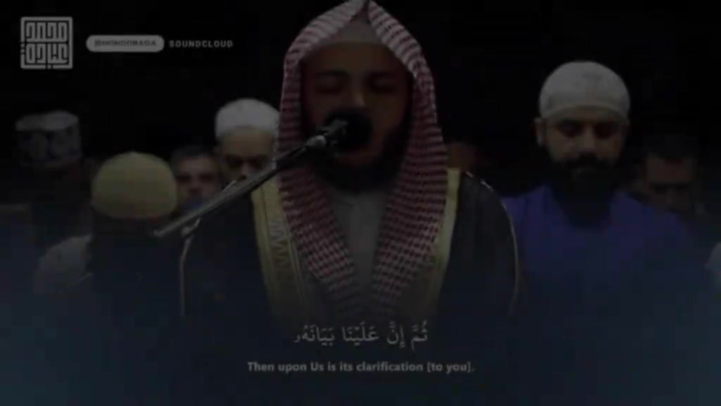 @المحاسب القانوني