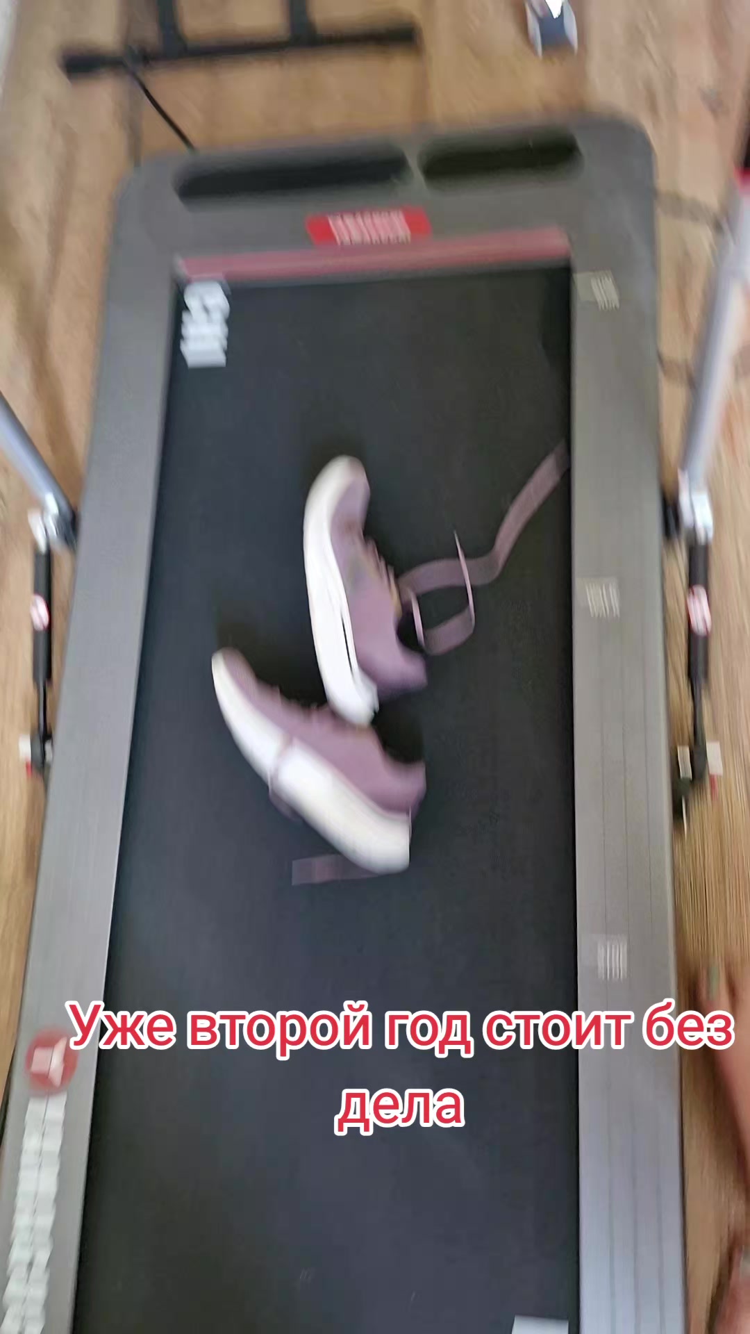 @🦋🪷ЛЕСЯ🪷🦋