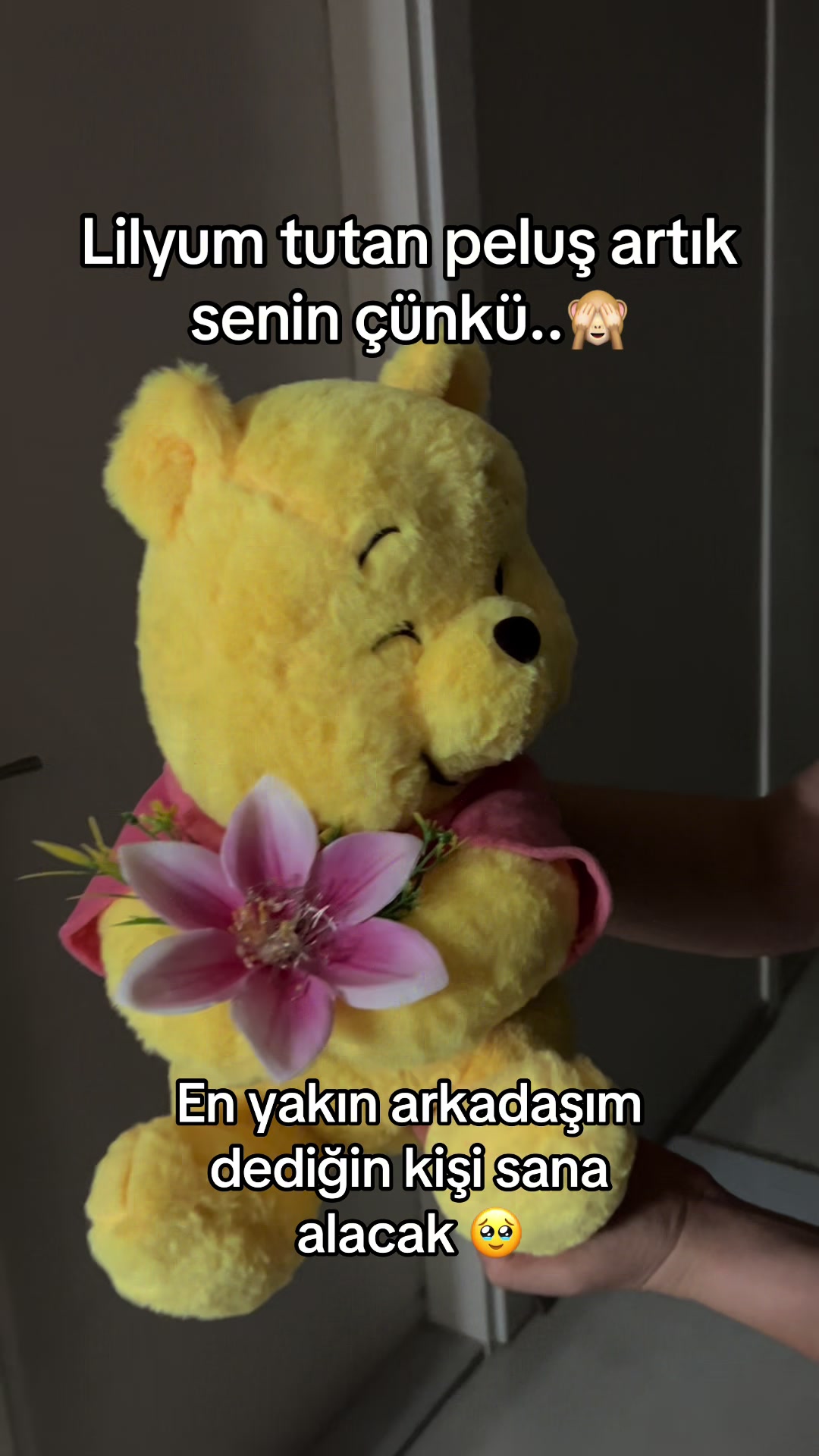 @Almir