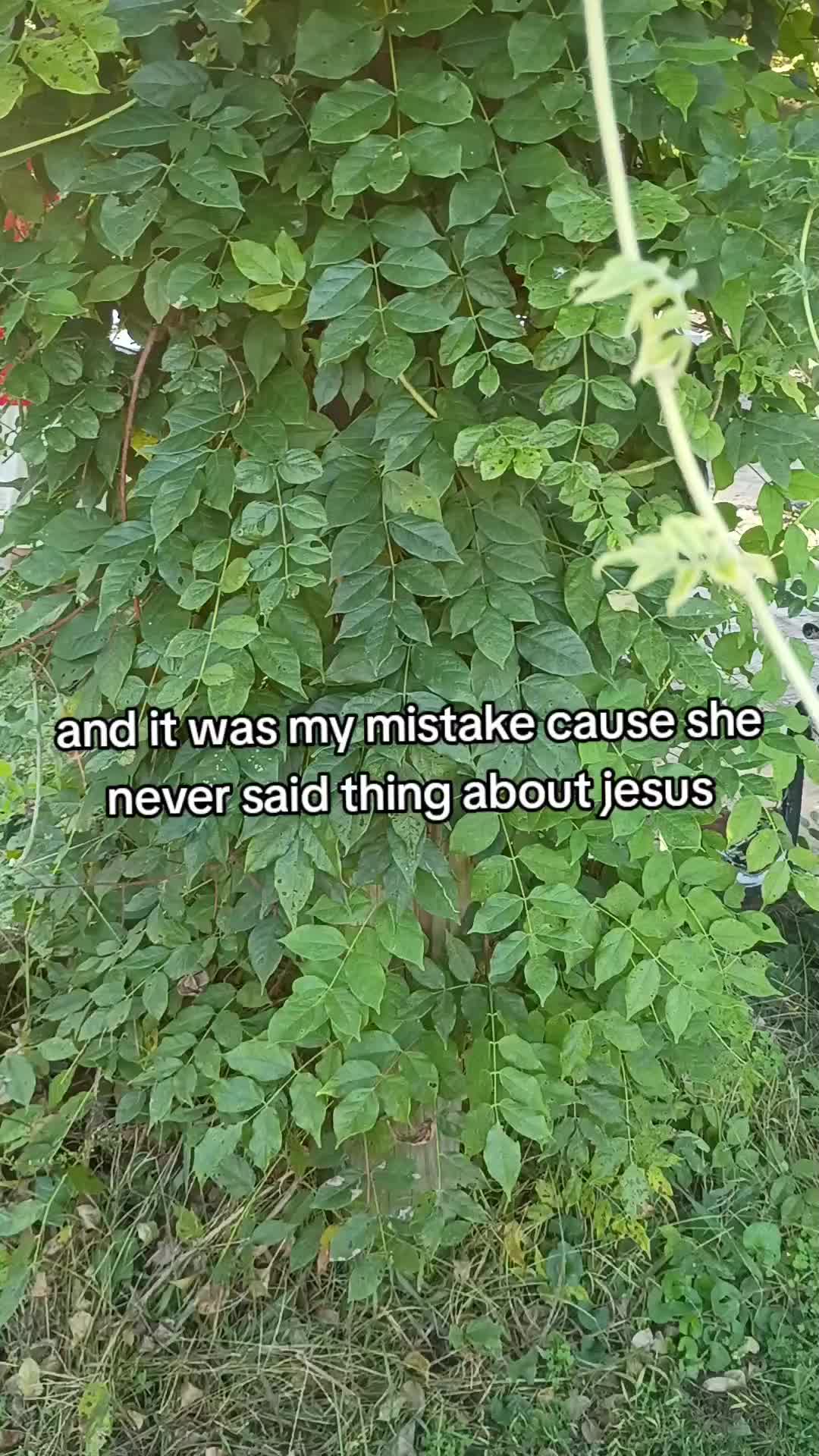 @Jace