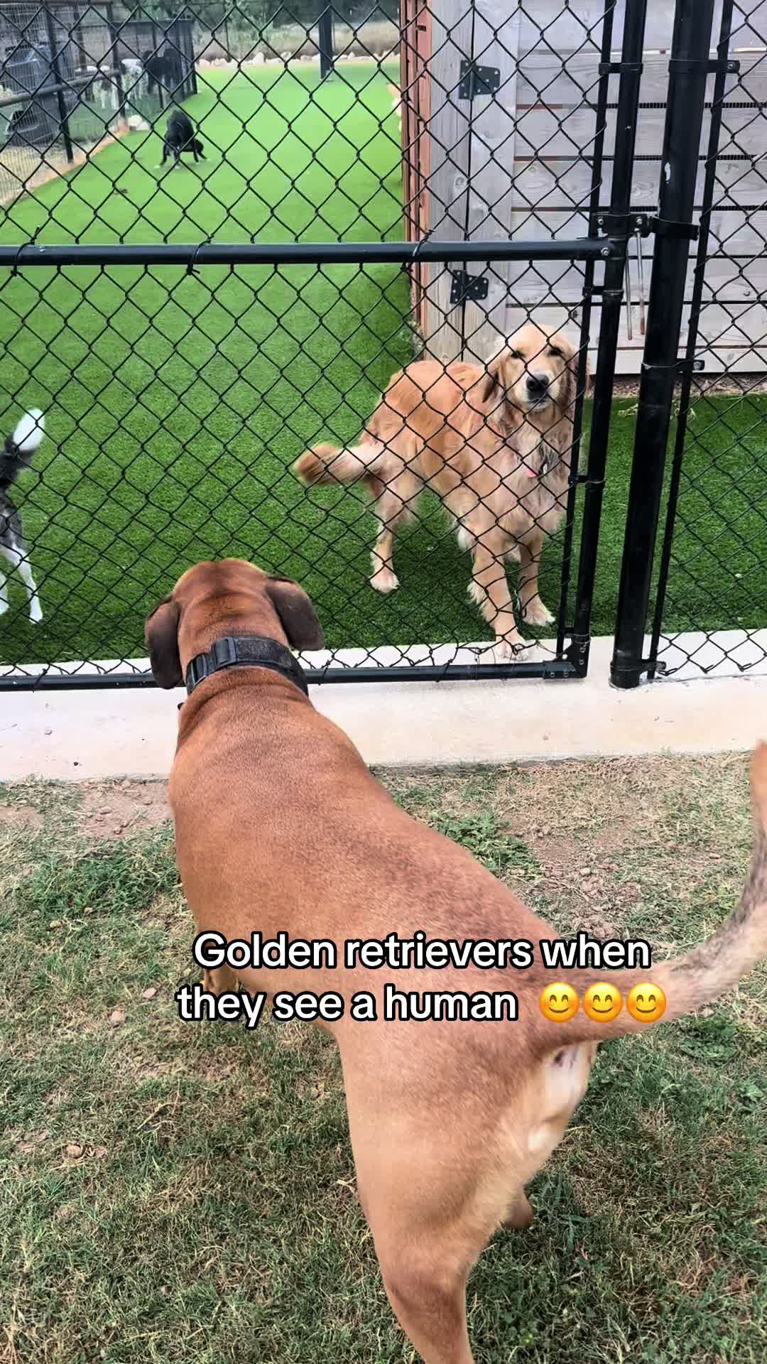 @Mikah 🐾 🐶 💓