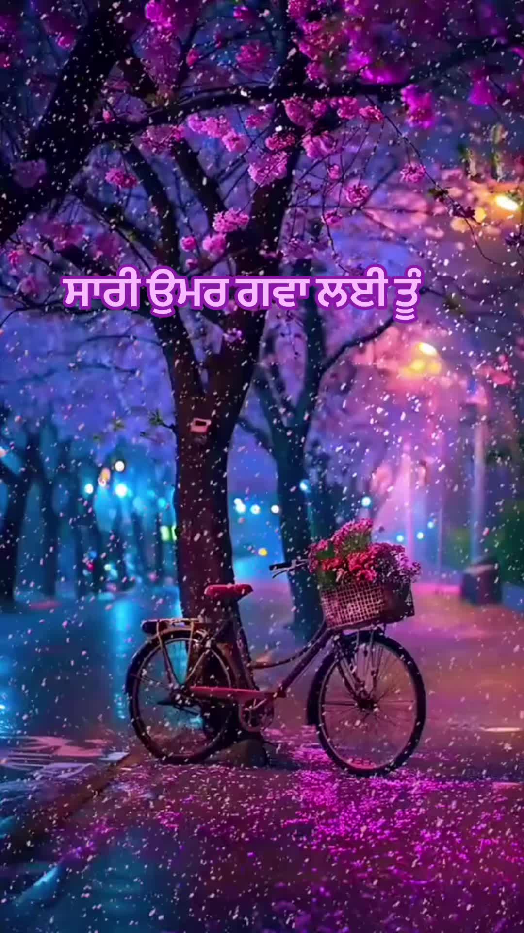 @m.s.Basiala USA