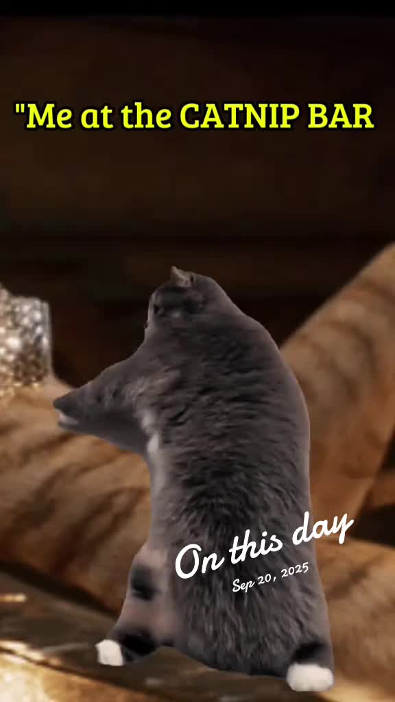 @GIF LOVER❤️