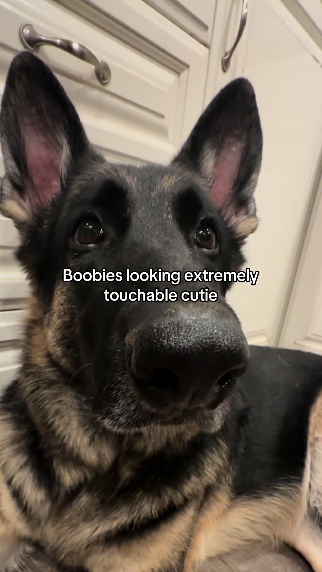 @Bhris