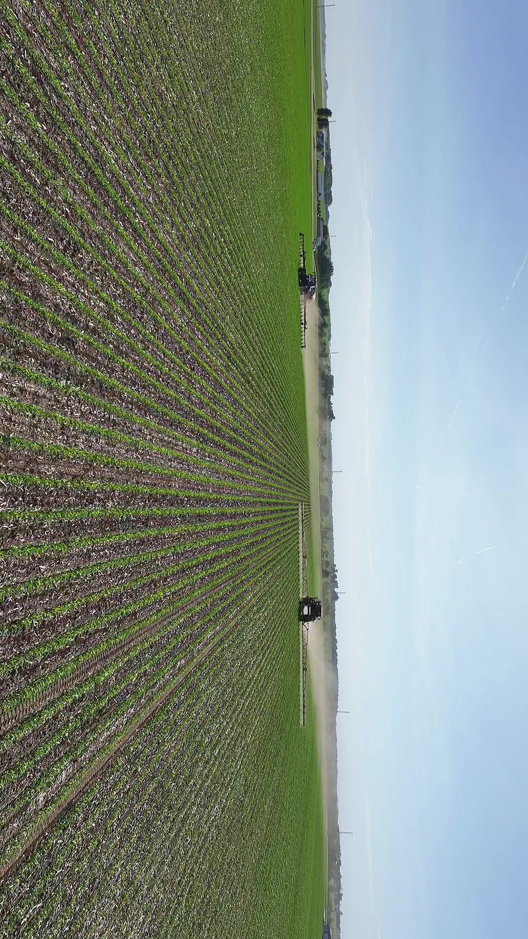 @jordynburcofarm