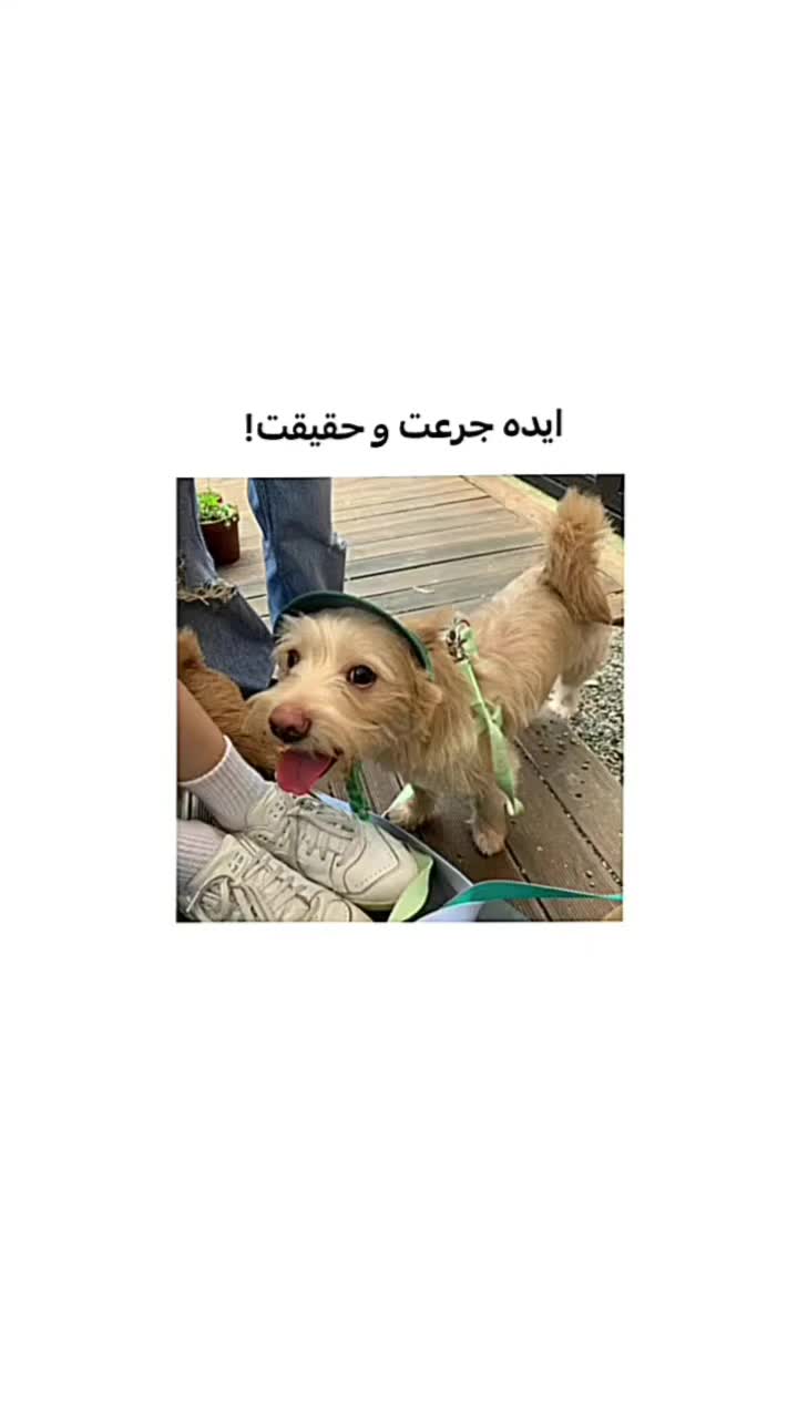 @sarina