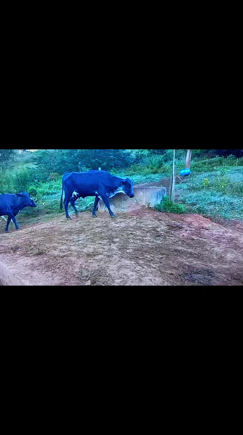 @Fazenda Santa Rosa