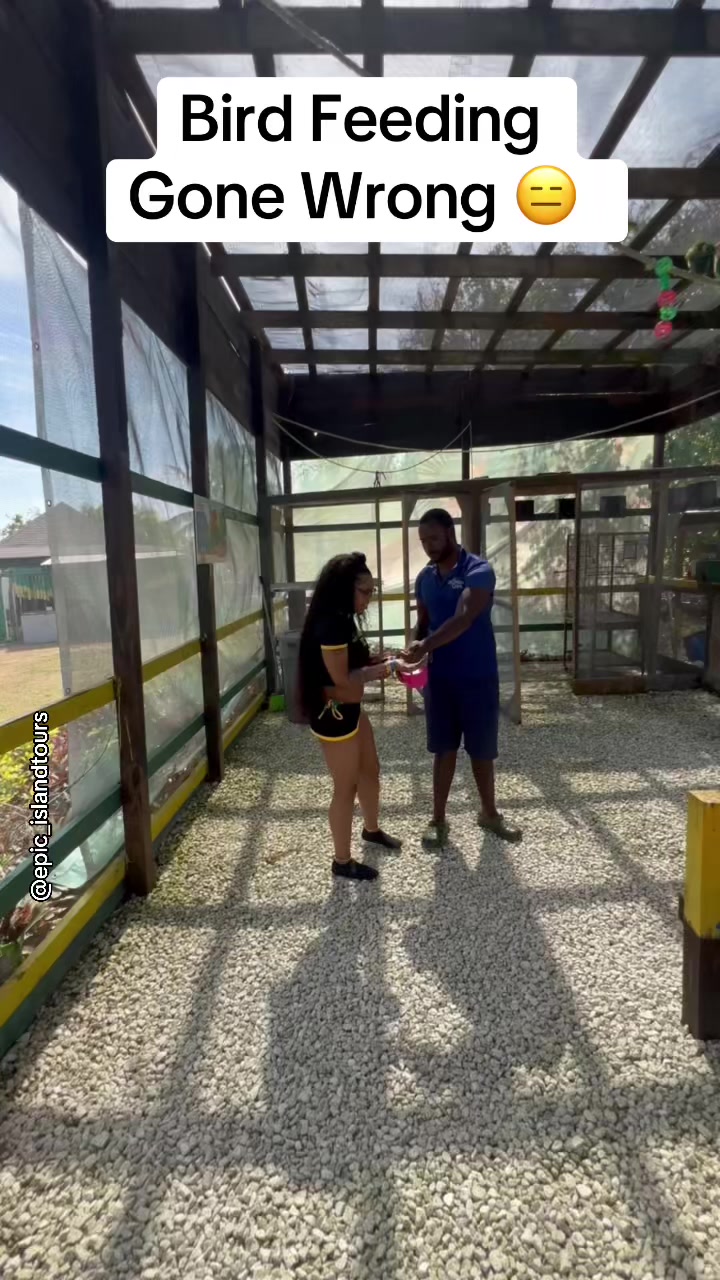 @Epic Island Tours JA