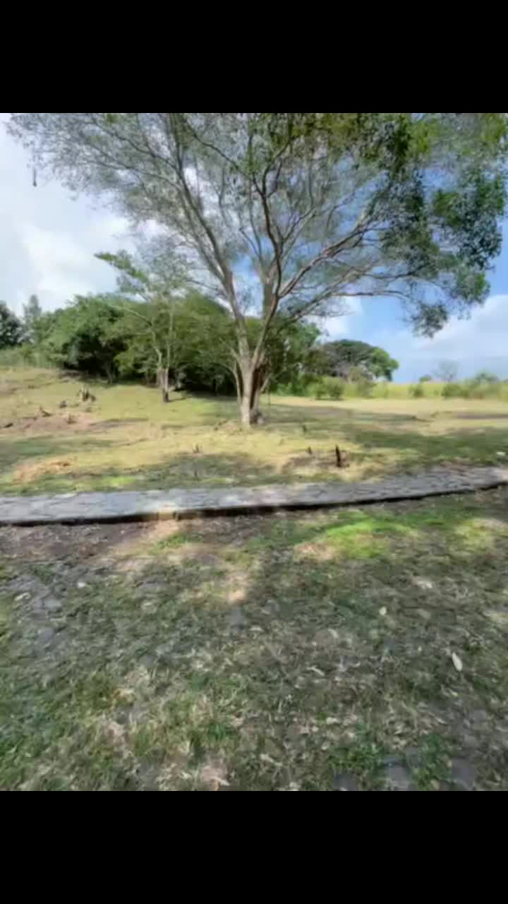 @Karla Gabriela Gómez