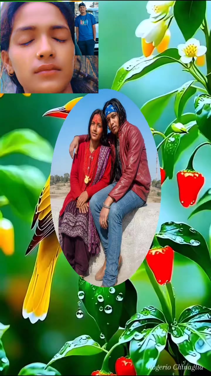@Laxmi SS