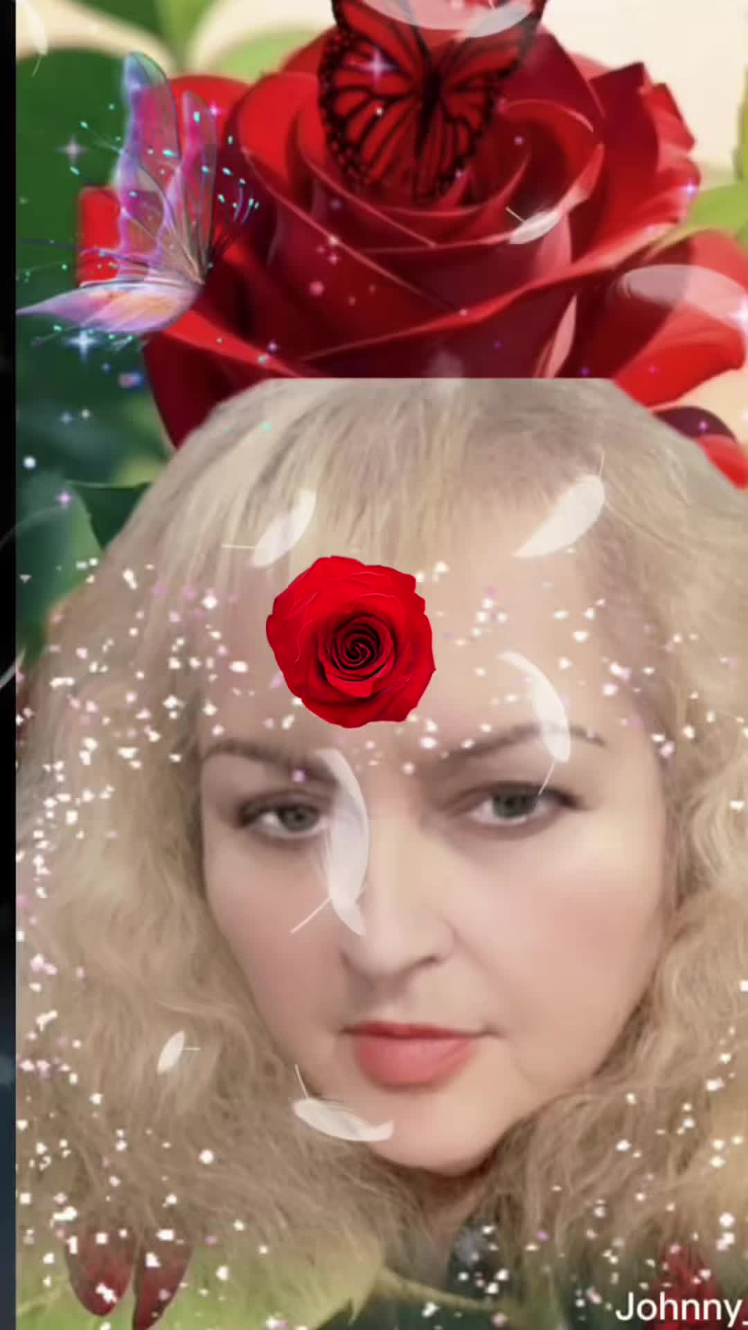 @guadalupearaiza335