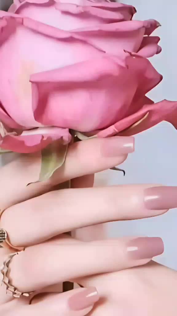@♡((لمار))♡ ورده♡ حلب