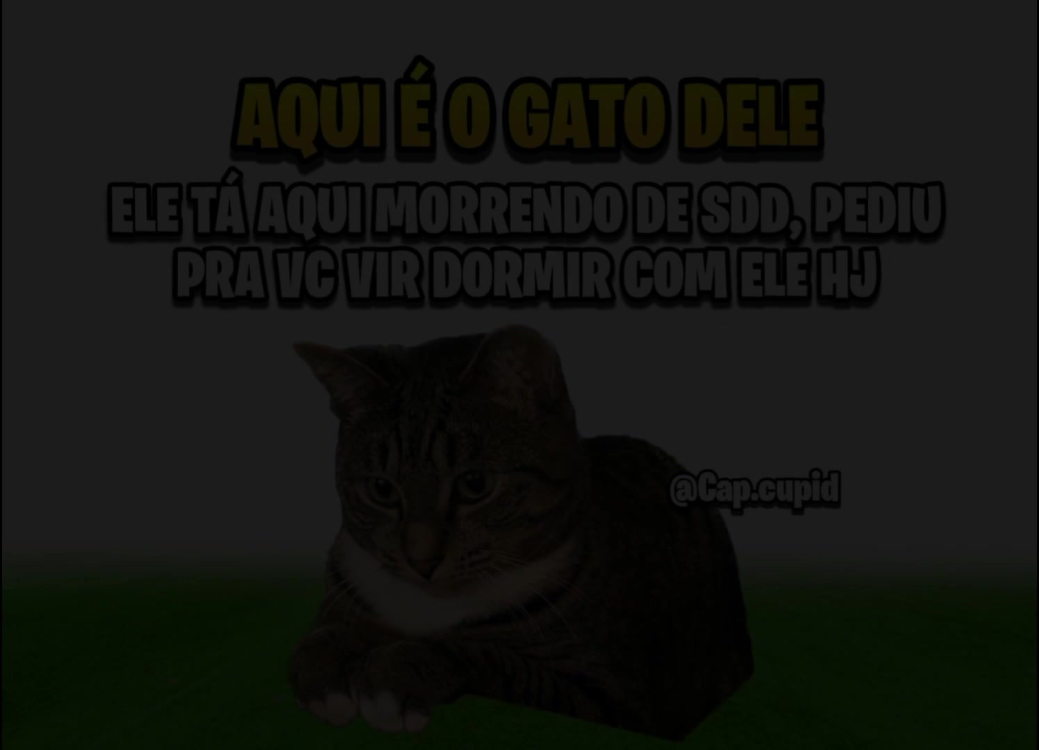 @cap cupid
