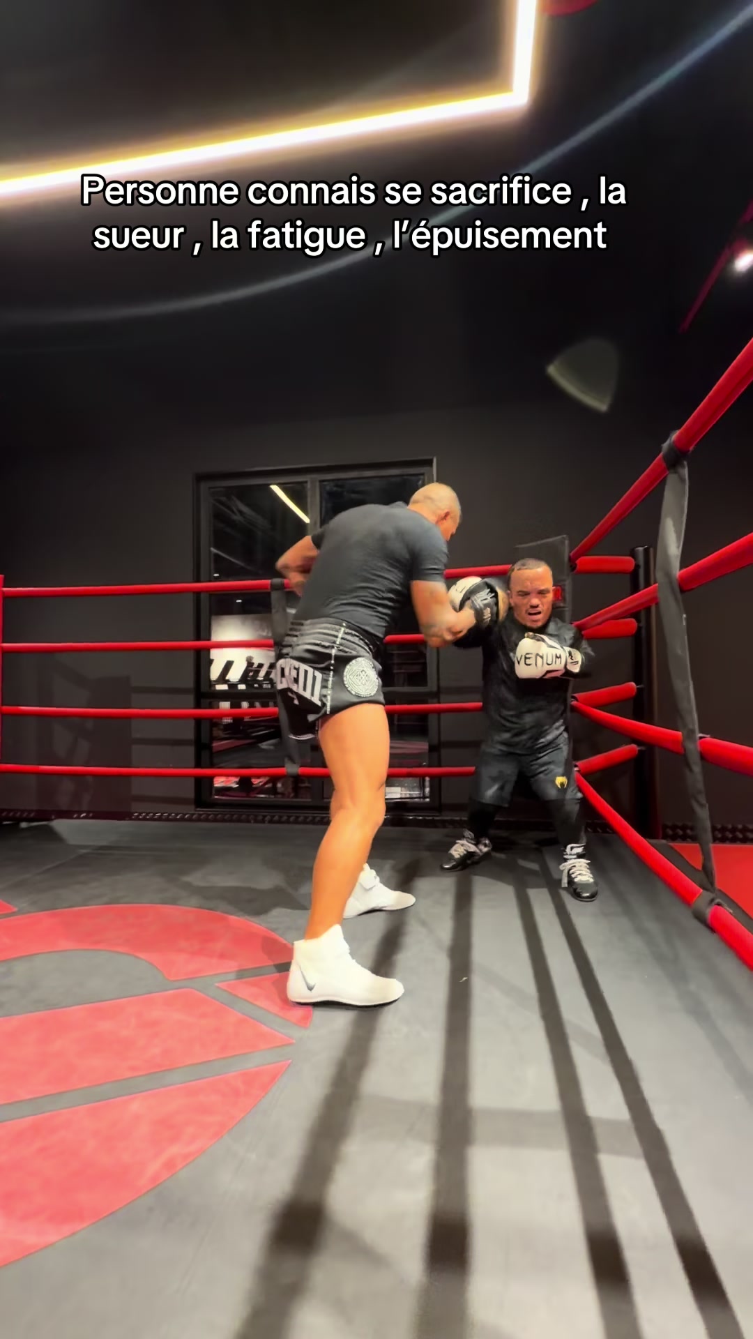 @Mini 🥊