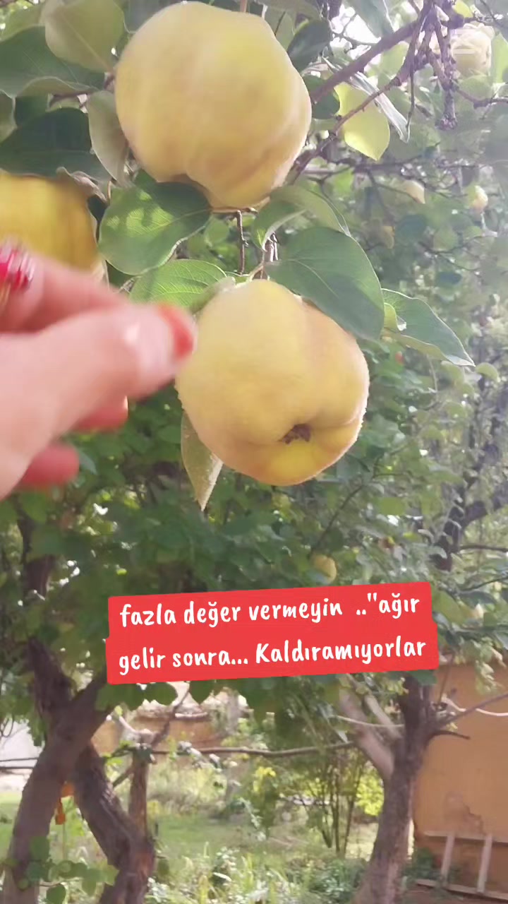 @🌹🌹ELA GÖZLÜ 🌹🌹