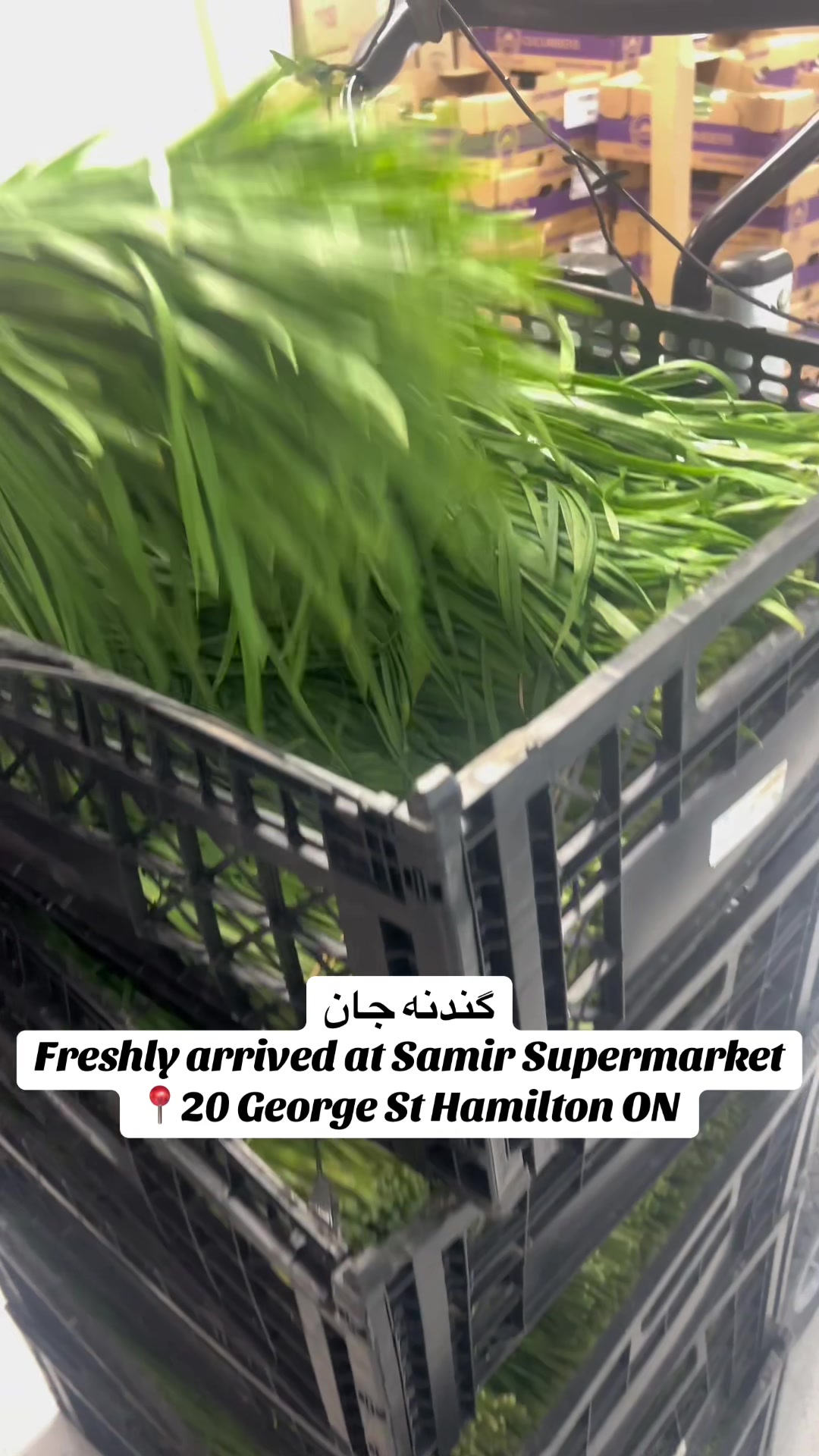 @samir.supermarket